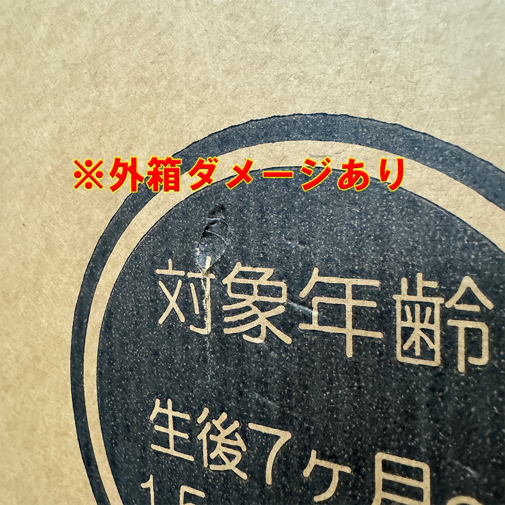 ��Դ� �٥ӡ� JTC �٥ӡ����������� �ޤ��뤤�ۤ����� ���졼