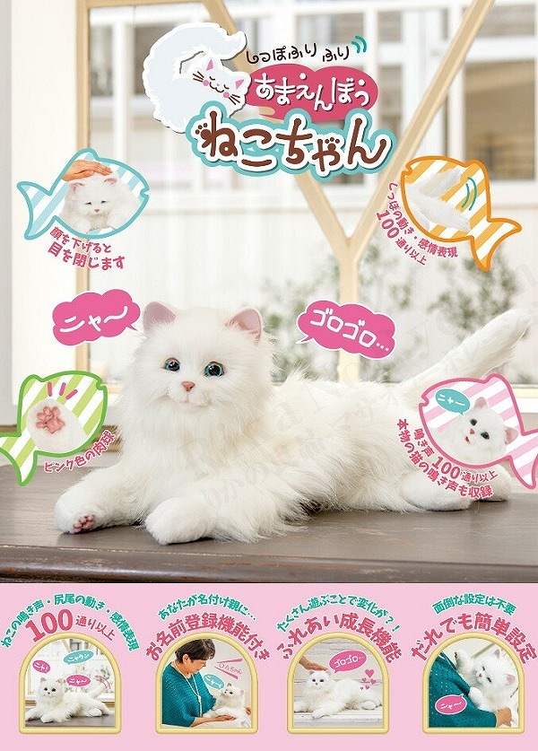 �ǥ��쥯�ȡ��ҡ���󥰥ѡ��ȥʡ� ���äݤդ�դ� ���ޤ���ܤ��ͤ������ �ۥ磻��