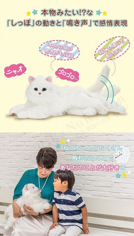 �ǥ��쥯�ȡ��ҡ���󥰥ѡ��ȥʡ� ���äݤդ�դ� ���ޤ���ܤ��ͤ������ �ۥ磻��