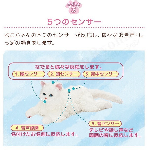 �ǥ��쥯�ȡ��ҡ���󥰥ѡ��ȥʡ� ���äݤդ�դ� ���ޤ���ܤ��ͤ������ �ۥ磻��