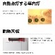 ��̤�����ʡ�TOHOTAIYO 2�ɥ� ������¢�� ������ 118L �ۥ磻�� TH-118L2-WH ��ư������������� ��Ǯŷ�� Ĵ��ӡ��̳�ƻ���彣�����졦Υ��������Բġ�