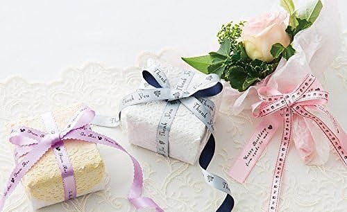 �ƥץ�PRO�����꡼ Girly TEPRA PRO SR-GL1 �ڡ���֥롼 ���󥰥��� KINGJIM