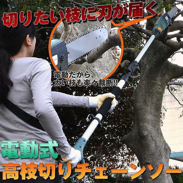 SIS 電動高枝切りチェーンソー 高枝健太郎くん ET1208 
