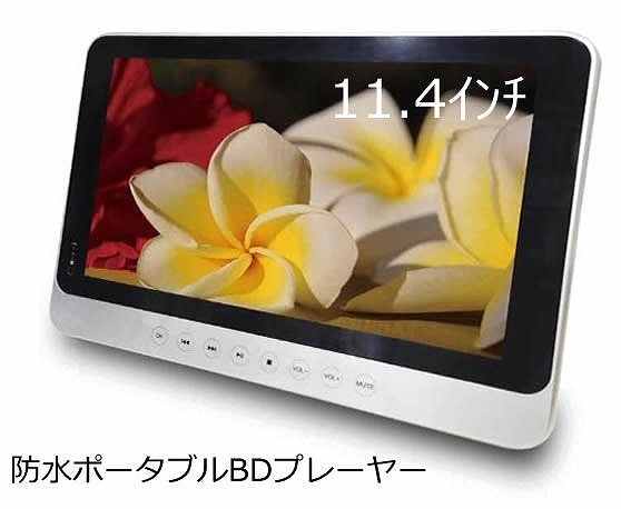 �ο��ʥ����ȥ�åȡϡ�11.4����� �ɿ�ݡ����֥�BD�ץ졼�䡼���֥롼�쥤�ץ졼�䡼��12WB��Superbe�������쥯����� 