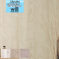 ���� �ɻ� �Τ�ʤ��ɻ� ������ ��ꥫ�� WILL ������ 2020-2023 �ޥƥꥢ��  LW-4091 LW-4092 LW-4093 ��1m�ʾ�10cmñ�̤Ǥ������