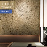 �ɻ� �Τ�ʤ��ɻ� ������ ���󥲥� XSELECT 2021-2024 �������쥯�� SGB2048 SHITSURAHI �»� ��1��ñ�̤Ǥ�����(1����)��