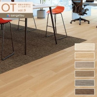 󥲥 OT vol.9 ߤɻߥӥ˥뾲 ե 5mm ץޥ OT-5003 OT-5004 OT-5005 OT-5006 OT-5007 OT-5008 1ñ̤Ǥ