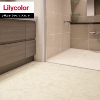 åե ꥫ 2022-2025 1.8mm 182cm STONE ӥ󥳥 LH81379 1mʾ10cmñ̤Ǥ