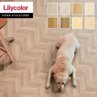 åե ꥫ 2022-2025 ˥塼ޤե(ڥåб)2.3mm 182cm LHP81431 LHP81432 LHP81433 LHP81434 LHP81435 LHP81436 LHP81437 LHP81438 1mʾ10cmñ̤Ǥ