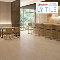 ꥫ 磻 2023-2026 +JAPAN  LYT84001 LYT84002 1(24)ñ̤Ǥ LY / ե