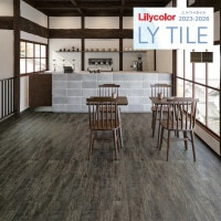 ꥫ 磻 2023-2026 +JAPAN ƿ LYT84005 LYT84006 1(24)ñ̤Ǥ LY / ե