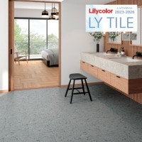 ꥫ 磻 2023-2026 +JAPAN  LYT84007 LYT84008 18ʾ1ñ̤Ǥ LY / ե