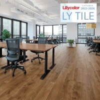 ꥫ 磻 2023-2026 WOOD ˥å LYT84072 LYT84073 1(24)ñ̤Ǥ LY / ե / å / Υå