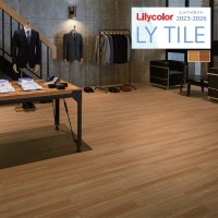 ꥫ 磻 2023-2026 WOOD ꡼ LYT84102 LYT84103 1(36)ñ̤Ǥ LY / ե / å