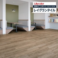 ��ꥫ�� �쥤����󥿥��� 2023-2026 WOOD ���硼���ɥ��å� LGT84315 LGT84316 ��1��������13������ñ�̤Ǥ������ ���ߤ��ӥ˥뾲������ / ���å�