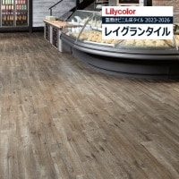 ��ꥫ�� �쥤����󥿥��� 2023-2026 WOOD �������ɥѥ��� LGT84325 ��1��������13������ñ�̤Ǥ������ ���ߤ��ӥ˥뾲������ / ���å�