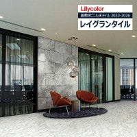 ��ꥫ�� �쥤����󥿥��� 2023-2026 STONE ��������ޡ��֥� LGT84338 ��10��ʾ�1��ñ�̤��������� ���ߤ��ӥ˥뾲������ / ���ȡ���