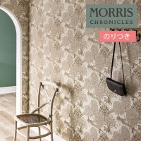 ɻ Τդɻ  󥲥 ꥹ ˥륺 THE BROOK ֥å MCW161 3mʾ1mñ̤ǤۤΤĤɻ