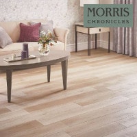 󥲥 ե ꥹ˥륺 MORRIS OAK PLAIN ꥹ  ץ졼 MCT366 1ñ̤Ǥ