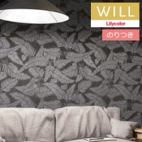 Τդɻ  ꥫ will  2023-2026 kioi ӻ  LW-147 3mʾ1mñ̤Ǥ
