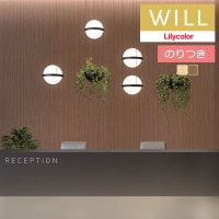 Τդɻ  ꥫ will  2023-2026 ޥƥꥢ LW-190  LW-191 3mʾ1mñ̤Ǥ