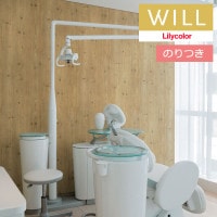 Τդɻ  ꥫ will  2023-2026 ޥƥꥢ LW-203 3mʾ1mñ̤Ǥ