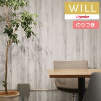 Τդɻ  ꥫ will  2023-2026 ޥƥꥢ LW-222 3mʾ1mñ̤Ǥ