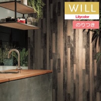 Τդɻ  ꥫ will  2023-2026 ޥƥꥢ LW-230 3mʾ1mñ̤Ǥ