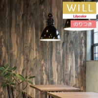 Τդɻ  ꥫ will  2023-2026 ޥƥꥢ LW-232 3mʾ1mñ̤Ǥ