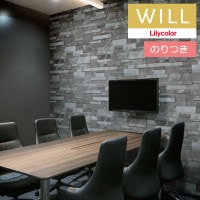 �Τ��դ��ɻ� ������ ��ꥫ�� will ������ 2023-2026 �ޥƥꥢ�� LW-253 ��3m�ʾ�1mñ�̤Ǥ������