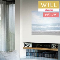 �Τ��դ��ɻ� ������ ��ꥫ�� will ������ 2023-2026 �ץ��������������ɻ� LW-782 �� LW-783 ��3m�ʾ�1mñ�̤Ǥ������