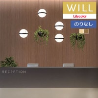 ɻ Τʤɻ  ꥫ will  2023-2026 ޥƥꥢ LW-190  LW-191 1mʾ10cmñ̤Ǥ