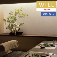 �ɻ� �Τ�ʤ��ɻ� ������ ��ꥫ�� will ������ 2023-2026 ����ѥ� LW-279 ��1m�ʾ�10cmñ�̤Ǥ������