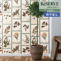 �ɻ� �Τ�ʤ��ɻ� ������ ���󥲥� ReSERVE �ꥶ���� 2024-2027 ��Ω�ʳ���ʪ�� ��ʪ Plants RE55943 ��1m�ʾ�10cmñ�̤Ǥ�����ۤΤ�̵��