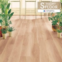 󥲥 Sե 2025-2027 Ѿॷ ȥ 2.0mm С PM-24031 PM-24032 PM-24033 50cmʾ10cmñ̤Ǥ