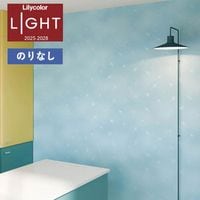 �ɻ� �Τ�ʤ��ɻ� ������ ��ꥫ�� LIGHT �饤�� 2025-2028 ��ȥ� frosted glass LL-6017 ��1m�ʾ�10cmñ�̤Ǥ�����ۤΤ�̵�� ��̵�� �Ҥʤ�