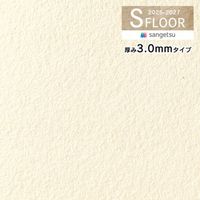 ���󥲥� S�ե��� 2025-2027 �������� ��������쥤 �������ѥ��å����� ���� 3 .0mm������ UD-24731 ��50cm�ʾ�10cmñ�̤Ǥ������