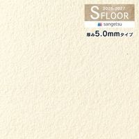 ���󥲥� S�ե��� 2025-2027 �������� ��������쥤 �������ѥ��å����� ���� 5 .0mm������ UD-24732 ��50cm�ʾ�10cmñ�̤Ǥ������