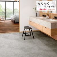 ��ꥫ�� �餯�餯��ե����� 2024-2027 ����Ĵ �������ɥ�륿�� ���ץ�� LYR-84357 LYR-84358 LYR-84361 LYR-84362 ��18��ʾ�1��ñ�̤Ǥ������ ����磻������ / �ե��������� / ���ȡ���