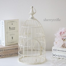 �֥�󥷥��ץ��ĥ�����