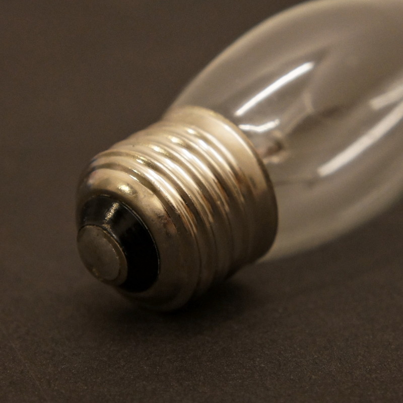 �����ǥꥢ����Ǯ�ŵ� 40W E-26���������ɲò����� �������Ϥ�40W�Ǥ���