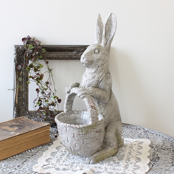 �Х�����ӥå�