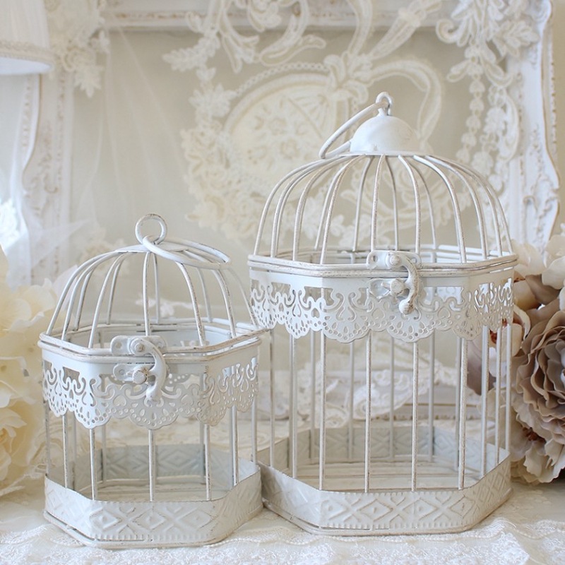 �С��ɥ������إ�������S������WH(2�ĥ��å�)