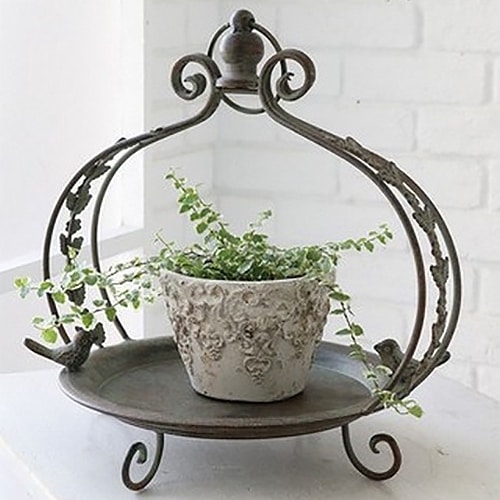 ��������꡼�ա�������ɥȥ졼