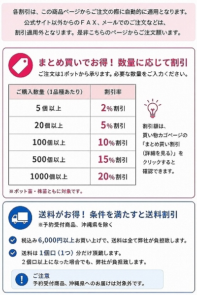 紫桜館山の花屋 | 全商品一覧 - 「ワラビ 10.5cmポット苗 山菜苗/耐寒