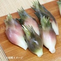 ߥ祦9cmݥåġ/Ѵ¿ǯ/謲/6/13դ˽ͭ