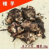 ��긩���������⡡���1kg(�ܰ�5��10��)���/�ư�/����/���ݴ����������Ի���/���դ�/�����ٺѤ�