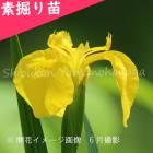 祦֡Ƿġ¿ǯ/ӥȡ/Գ/ٺѤ