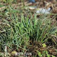 Υӥ롡9cmݥåġ2//Ѵ¿ǯ/