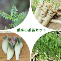 �����ĥ��åȡ� �ץ�󥿡����ݤ��ǽ����̣�����ġ���2�ݥåȥ��åȡڥ��󥷥祦���掠�ӥ������󡦥ߥ祦���������ĥ���